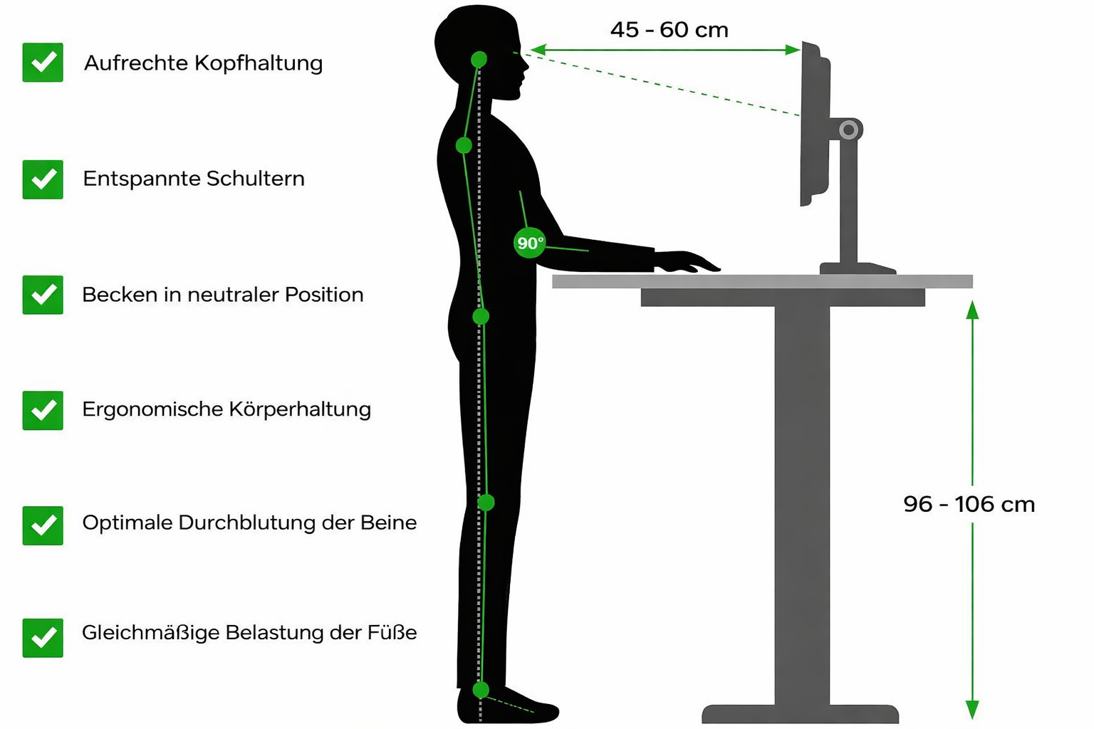 Ergonomische K&ouml;rperhaltung beim Arbeiten im Stehen am h&ouml;henverstellbaren Schreibtisch mit richtiger Schreibtischh&ouml;he