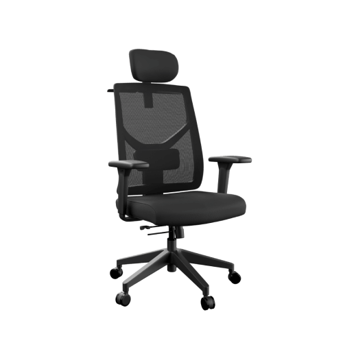 Ergonomická kancelářská židle Liftor Focus, černá 