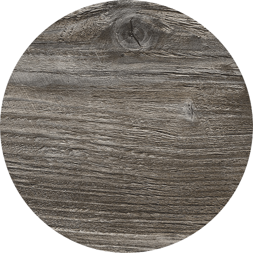 Pinie Pasadena (H1486)