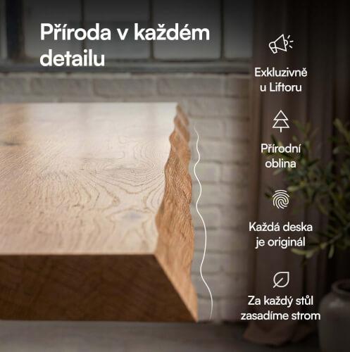 foto135.jpg