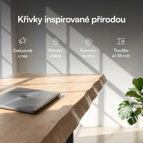 Výškově nastavitelný stůl Liftor Expert