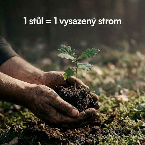 foto42.jpg