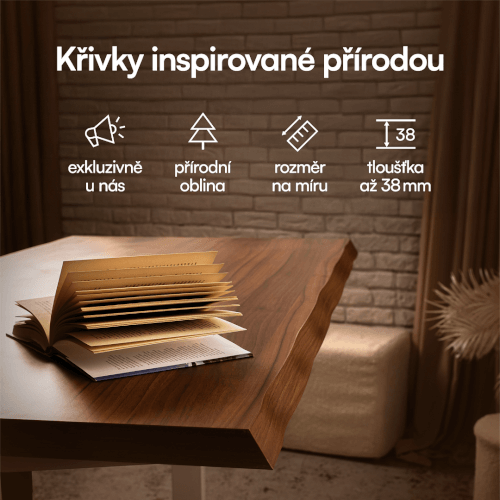 Elektrický polohovací stůl Liftor Up